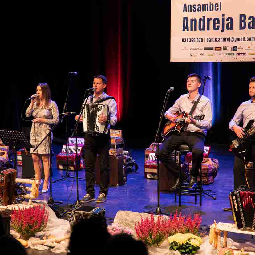 Ansambel Andreja Bajuka